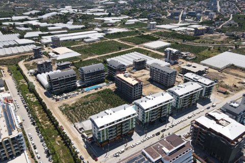 1+1 Wohnung  in Alanya, Antalya, Türkei Nr. 216722 - 6