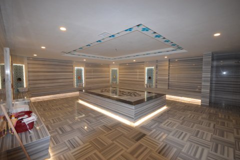 1+1 Wohnung  in Alanya, Antalya, Türkei Nr. 216722 - 21