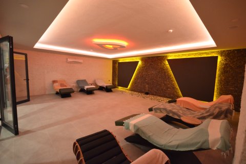 1+1 Wohnung  in Alanya, Antalya, Türkei Nr. 216722 - 19