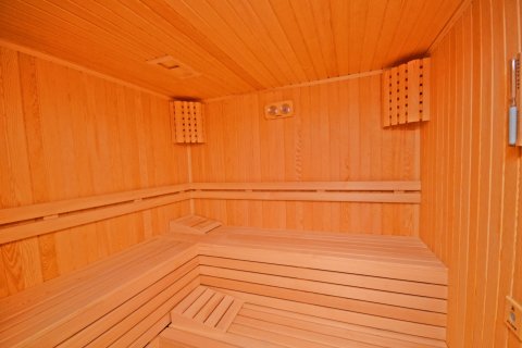 1+1 Wohnung  in Alanya, Antalya, Türkei Nr. 216735 - 3