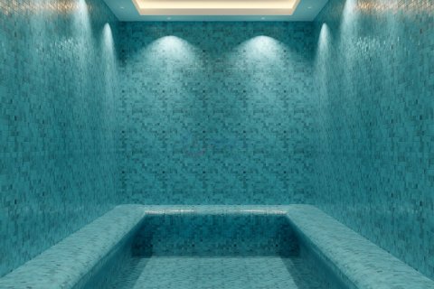 آپارتمان در  Alanya ، ترکیه 1 خوابه ، 53 متر مربع.  شماره 211526 - 18