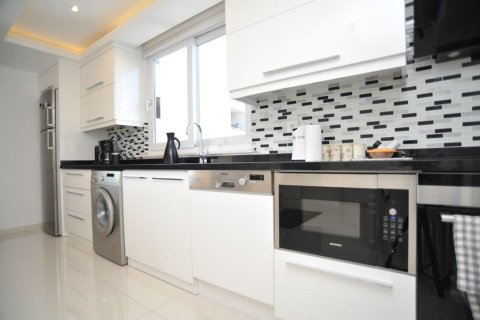 1+0 Wohnung in Alanya, Antalya, Türkei Nr. 225119 - 2