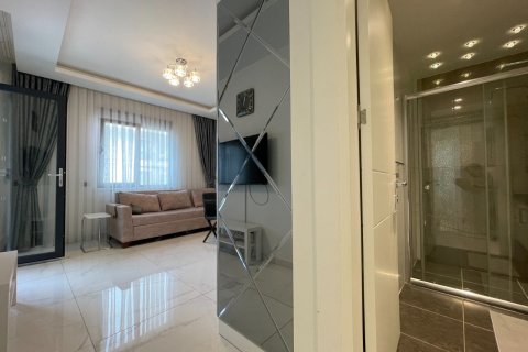 1+0 Wohnung in Alanya, Antalya, Türkei Nr. 225118 - 5