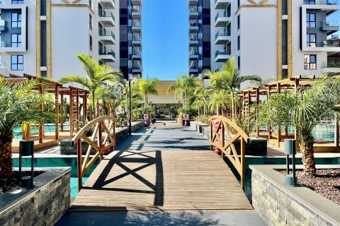 1+0 Wohnung in Mahmutlar, Antalya, Türkei Nr. 225115 - 15