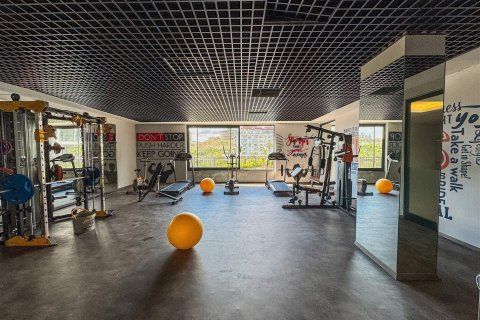1+1 Lejlighed i Kestel, Antalya, Tyrkiet Nr. 229041 - 19