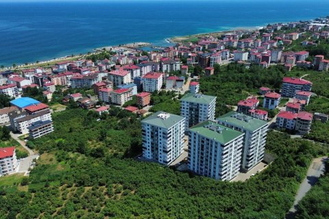 3+1 Apartment  in Arsin, Trabzon, Turkey No. 228514