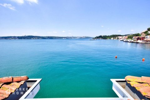 5+1 Villa i Istanbul, Tyrkiet Nr. 233548 - 10