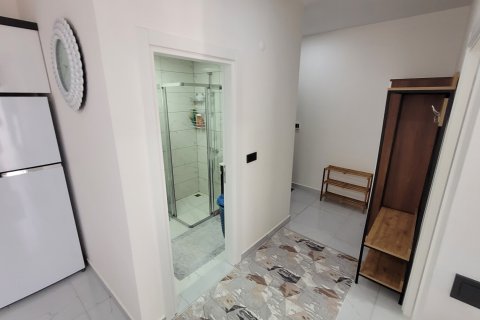 1+1 Lägenhet  i Alanya, Antalya, Turkiet Nr. 221413 - 8