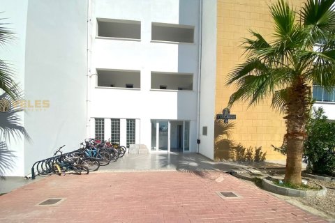 Daire  2+1  Long Beach, Iskele,  №214179 - 22