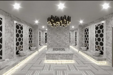 1+1 Wohnung  in Alanya, Antalya, Türkei Nr. 223968 - 30