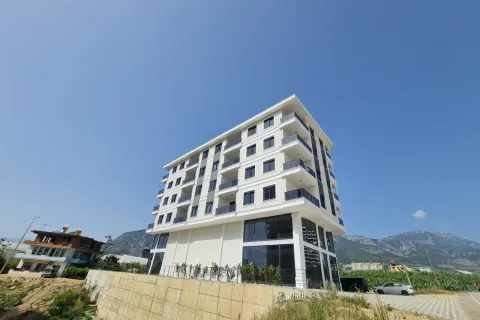 1+1 Wohnung  in Alanya, Antalya, Türkei Nr. 223970 - 28