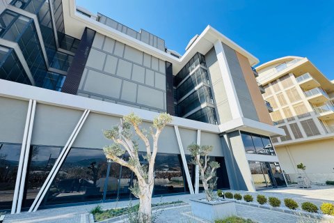 1+1 Wohnung  in Alanya, Antalya, Türkei Nr. 218656 - 16