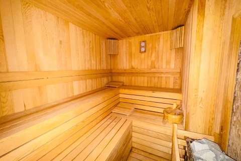 1+1 Wohnung  in Alanya, Antalya, Türkei Nr. 218656 - 13