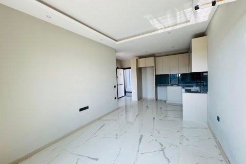 1+1 Wohnung  in Alanya, Antalya, Türkei Nr. 218656 - 2