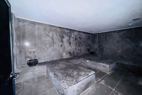 1+1 Wohnung  in Alanya, Antalya, Türkei Nr. 218656 - 12