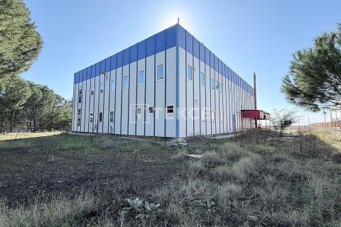 Продажа коммерческой недвижимости в Менемене, Измире, Турция, 1100м2, №221110 – фото 2