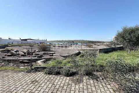 Продажа коммерческой недвижимости в Менемене, Измире, Турция, 1100м2, №221110 – фото 7