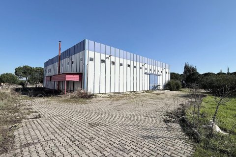Коммерческая недвижимость  1100м2 в Менемене, Измир, Турция №221110