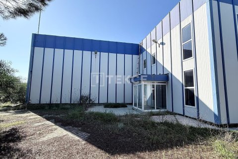 Продажа коммерческой недвижимости в Менемене, Измире, Турция, 1100м2, №221110 – фото 12