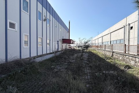 Продажа коммерческой недвижимости в Менемене, Измире, Турция, 1100м2, №221110 – фото 3