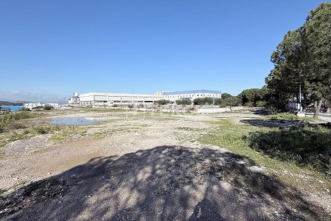 Продажа коммерческой недвижимости в Менемене, Измире, Турция, 1100м2, №221110 – фото 10