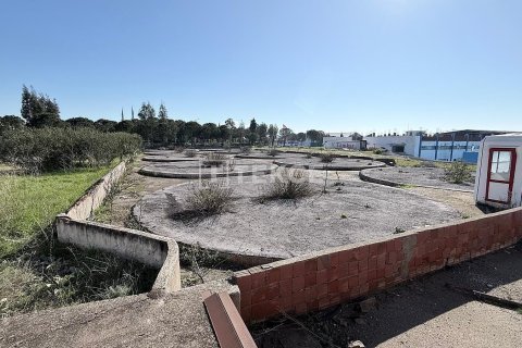 Продажа коммерческой недвижимости в Менемене, Измире, Турция, 1100м2, №221110 – фото 14