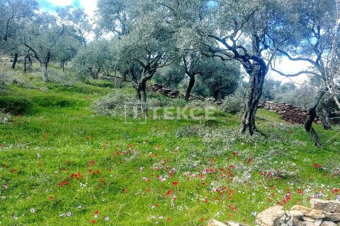 4+2 Villa  i Milas, Mugla, Tyrkia Nr. 226275 - 10