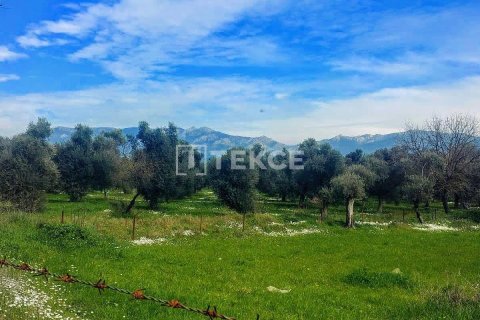 4+2 Villa  i Milas, Mugla, Tyrkia Nr. 226275 - 11