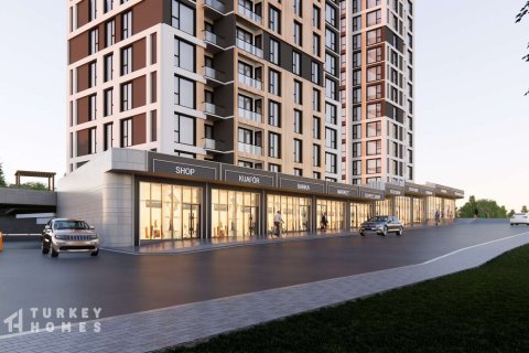 3+1 Lägenhet i Istanbul, istanbul, Turkiet Nr. 233748 - 9