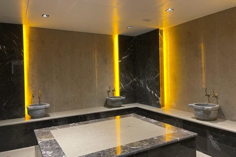 1+1 Wohnung in Alanya, Antalya, Türkei Nr. 216580 - 22