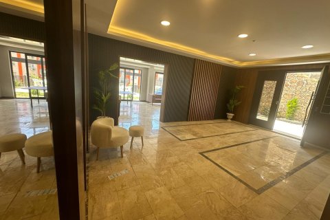 1+1 Wohnung in Alanya, Antalya, Türkei Nr. 216580 - 21