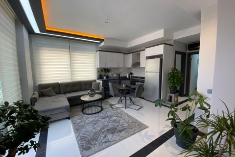 1+1 Wohnung in Alanya, Antalya, Türkei Nr. 216580 - 26