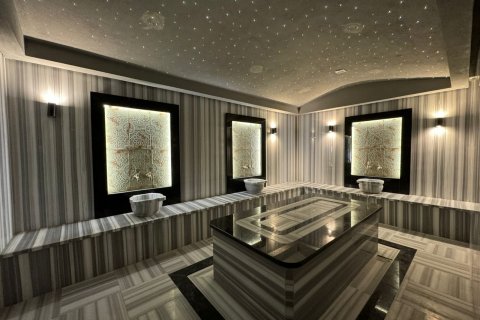 1+1 Wohnung  in Alanya, Antalya, Türkei Nr. 216583 - 6