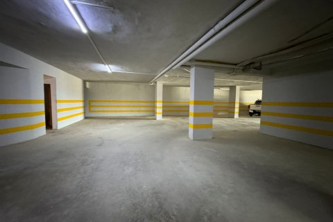 1+1 Wohnung  in Alanya, Antalya, Türkei Nr. 216583 - 22