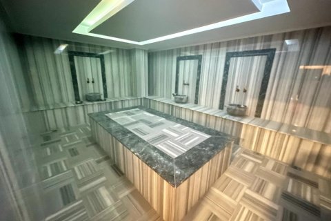 1+1 Wohnung  in Alanya, Antalya, Türkei Nr. 216581 - 23