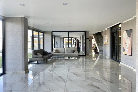 1+1 Wohnung  in Alanya, Antalya, Türkei Nr. 216581 - 19