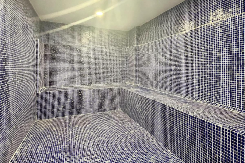 1+1 Wohnung  in Alanya, Antalya, Türkei Nr. 216581 - 21