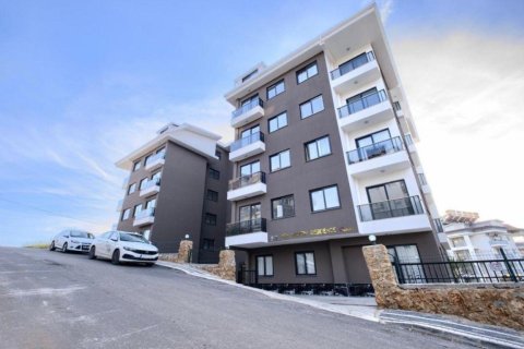 1+1 Wohnung  in Alanya, Antalya, Türkei Nr. 216581 - 4