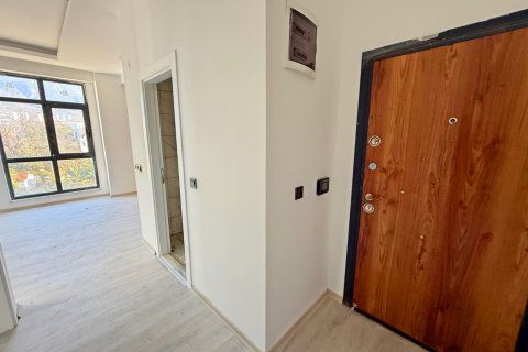 1+1 Wohnung in Alanya, Antalya, Türkei Nr. 216582 - 12