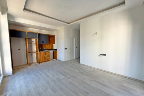 1+1 Wohnung in Alanya, Antalya, Türkei Nr. 216582 - 6