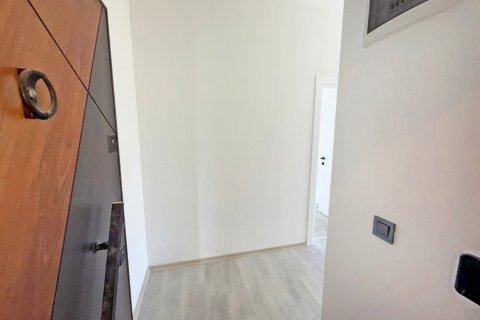 1+1 Wohnung in Alanya, Antalya, Türkei Nr. 216582 - 11