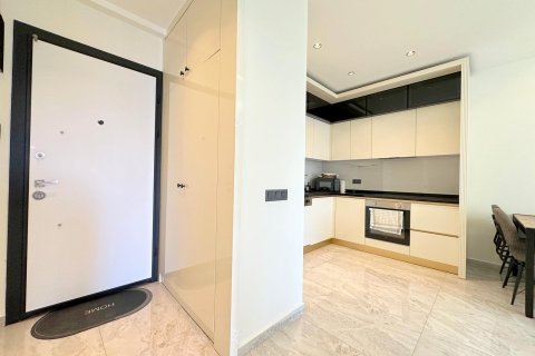 1+0 Leilighet  i Alanya, Antalya, Tyrkia Nr. 226239 - 2