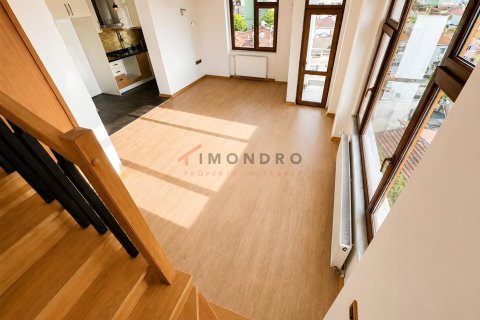 4+1 Wohnung in Beyoglu, Istanbul, Türkei Nr. 237987 - 8