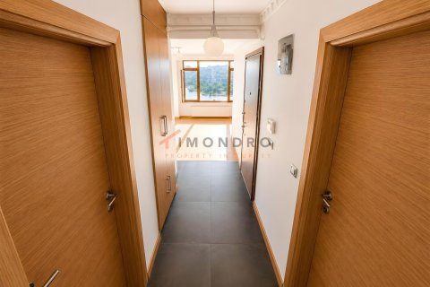 4+1 Wohnung in Beyoglu, Istanbul, Türkei Nr. 237987 - 9