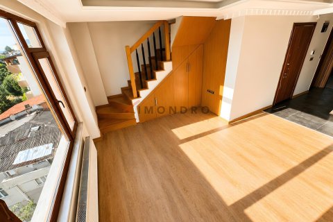 4+1 Wohnung in Beyoglu, Istanbul, Türkei Nr. 237987 - 21