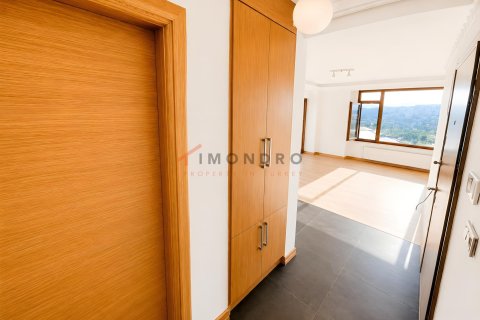 4+1 Wohnung in Beyoglu, Istanbul, Türkei Nr. 237987 - 17