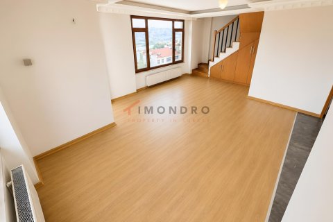 4+1 Wohnung in Beyoglu, Istanbul, Türkei Nr. 237987 - 22