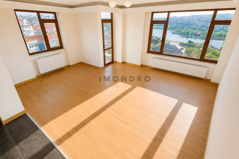 4+1 Wohnung in Beyoglu, Istanbul, Türkei Nr. 237987 - 25
