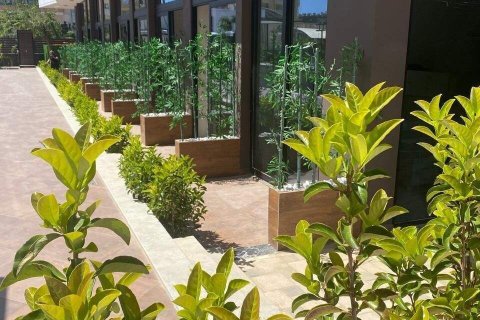 Apartment for sale  in Alanya, Antalya, Turkey, 1 bedroom, 67m2, No. 229090 – photo 8