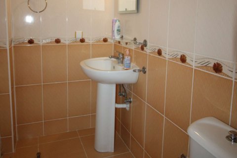 3+1 Wohnung in Didim, Aydin, Türkei Nr. 233336 - 17